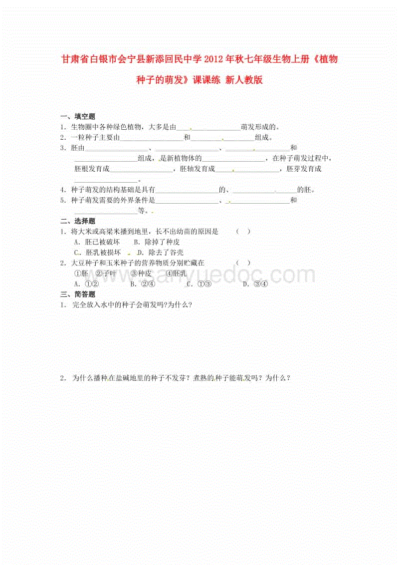 PG篮球