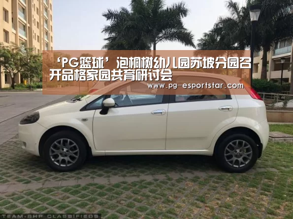 PG篮球